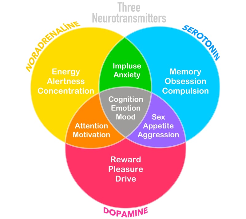 3 Neurotransmitters