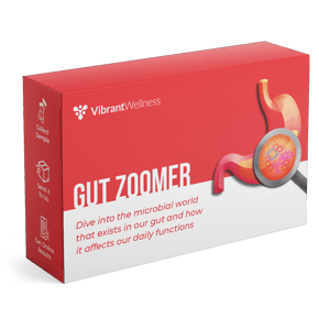 Gut Zoomer Box