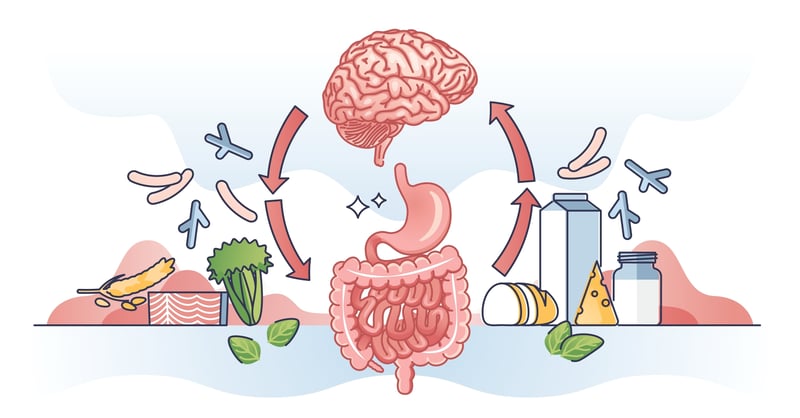 Gut-brain-axis illustration