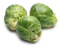 brussels_sprouts