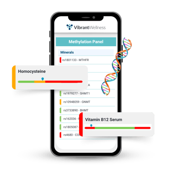 Smartphone displaying Vibrant Wellness Methylation Panel results for recovery and oxygen delivery.