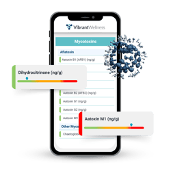 Mycotoxins Mockup