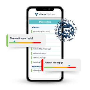 Mycotoxins Mockup