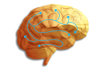 NeurotransmitterLogo