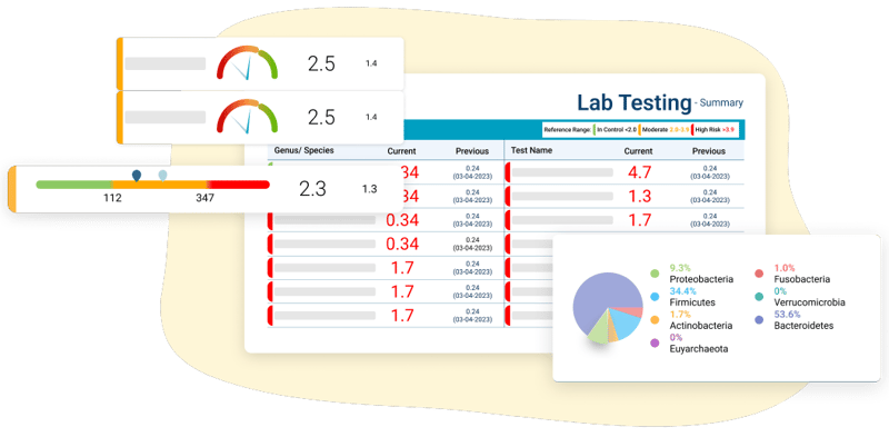 Summary Report (1)