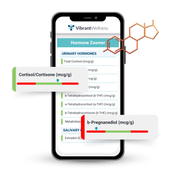 Hormone Zoomer Sample Report Mockup