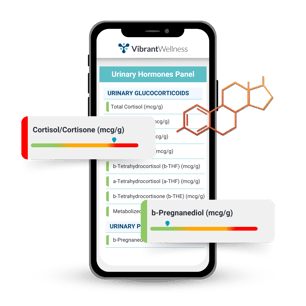 Urinary Hormone Panel Mockup