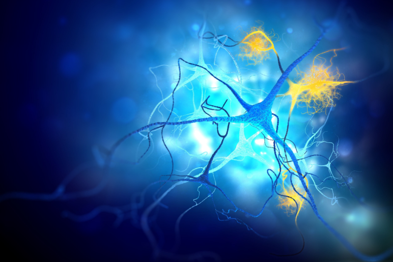 alzheimers damaged neuron