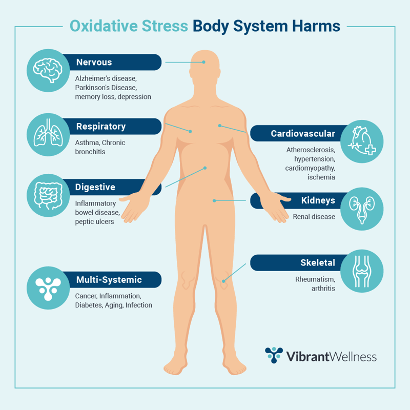 body_systems_oxidative_stress