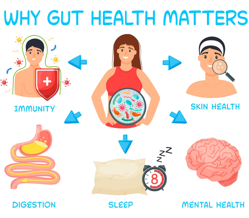 healthy gut