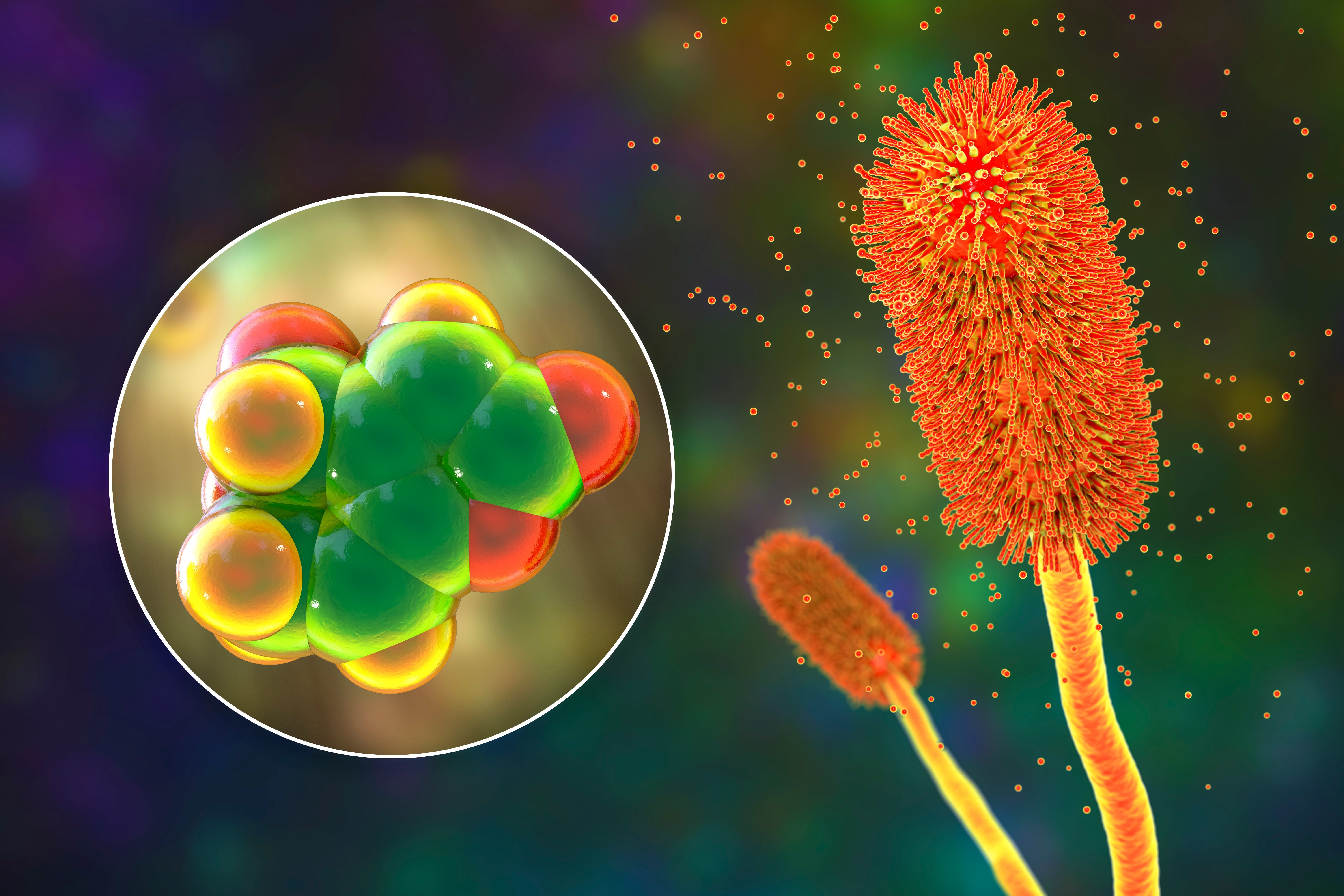 Exploring Links Between Mold, Mycotoxins, and Chronic Symptoms