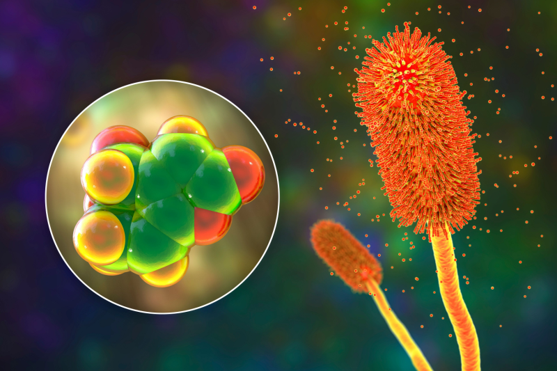 mycotoxins