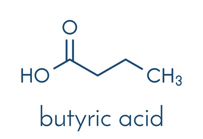 Butyric acid molecule