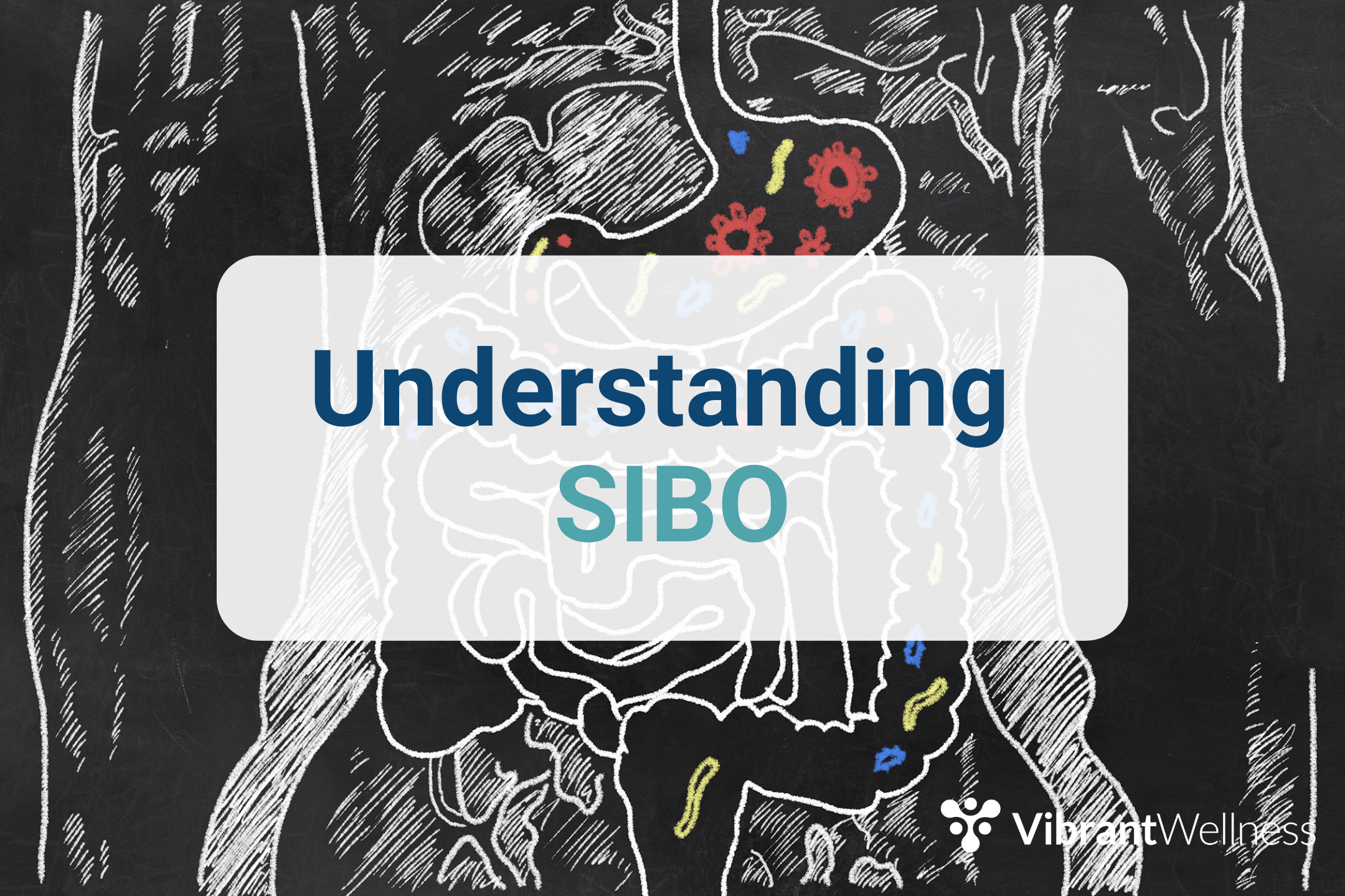 Understanding SIBO 
