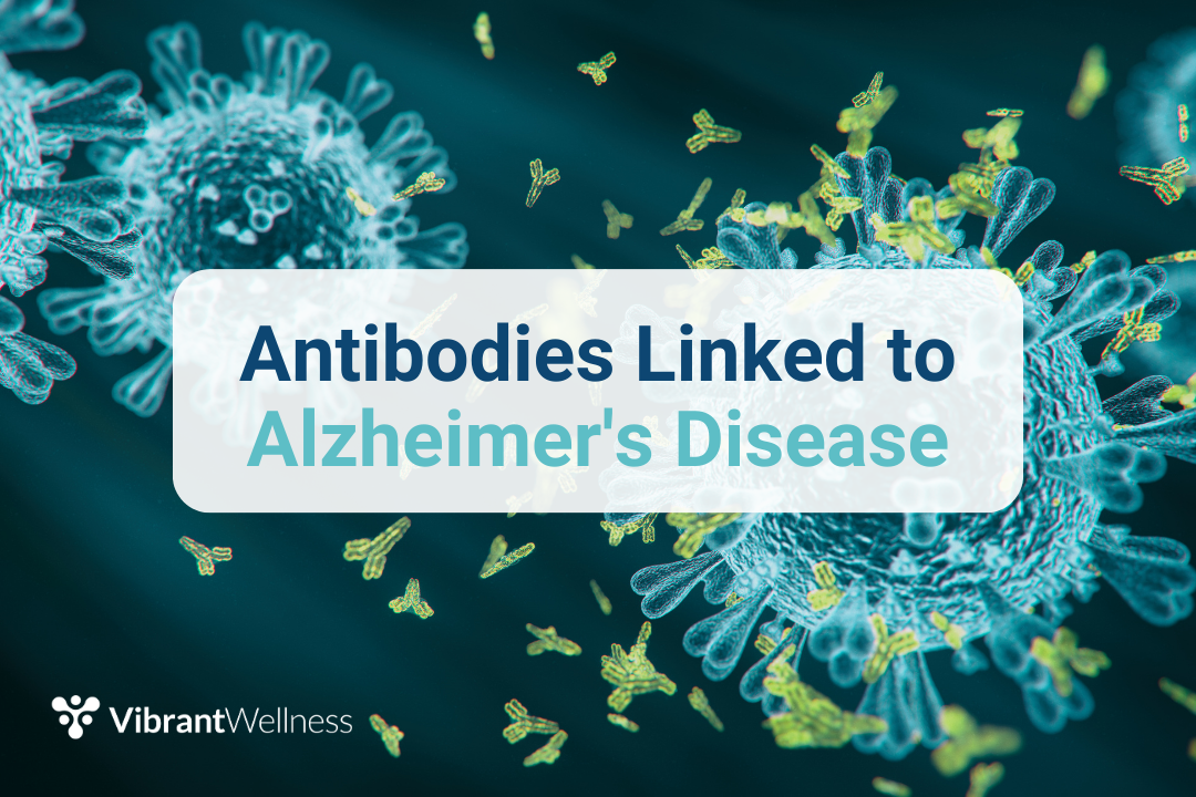 Antibodies Linked to Alzheimer's Disease